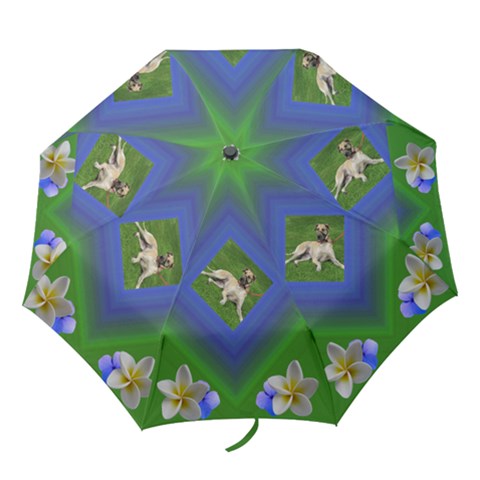 Folding Umbrella 