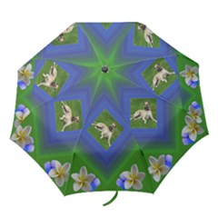 Green and Blue Delight Folding Umbrella