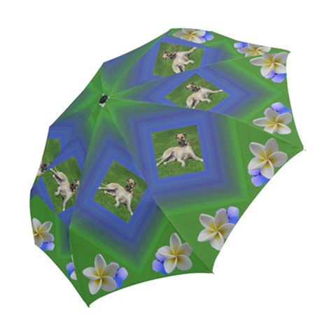 Folding Umbrella 