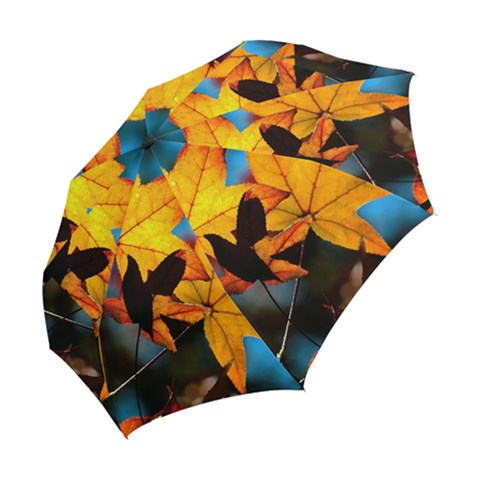 Folding Umbrella 