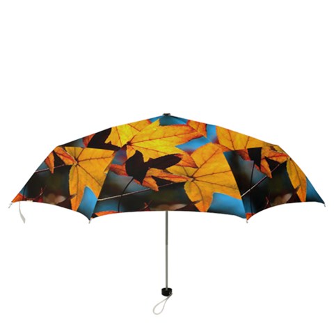 Folding Umbrella 