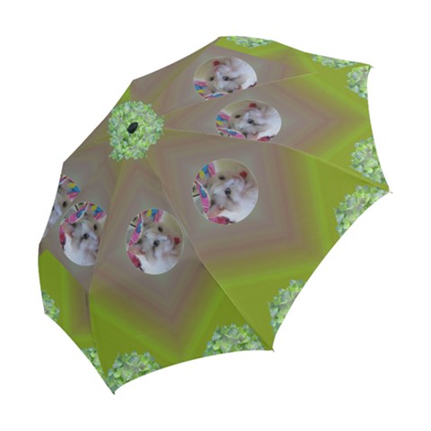 Folding Umbrella 