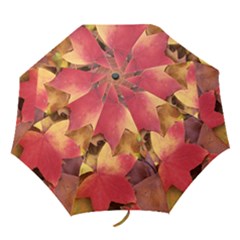 autumn leaves umbrella - Folding Umbrella