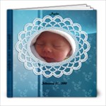 Jaydens first year book - 8x8 Photo Book (20 pages)