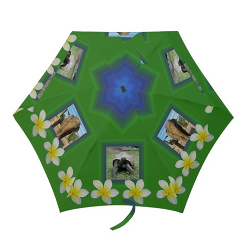 Mini Folding Umbrella 