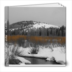 Wyoming beige background - 8x8 Photo Book (20 pages)