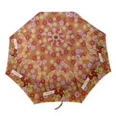 Fortune cookie/oriental/floral folding umbrella