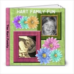 Fun times - 6x6 Photo Book (20 pages)