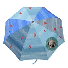 Umbrella - Folding Umbrella