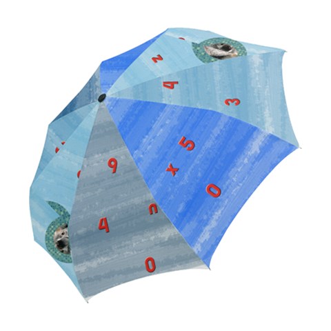 Folding Umbrella 