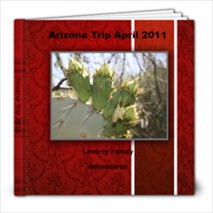 Arizona Trip - 8x8 Photo Book (20 pages)
