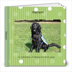 Malvern s Photobook - 8x8 Photo Book (30 pages)