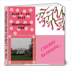 Washington 2011 - 8x8 Photo Book (20 pages)