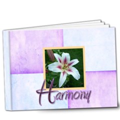 Harlequin Harmony Deluxe 9 X 7 20 Page Book
