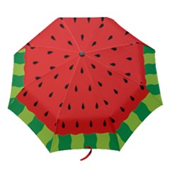 Fruit  - Folding Umbrella