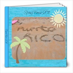 springbreak2011 - 8x8 Photo Book (20 pages)