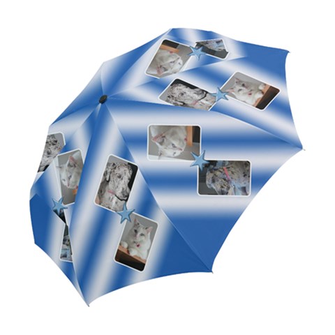 Folding Umbrella 