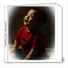 dan 2011 - 8x8 Photo Book (20 pages)