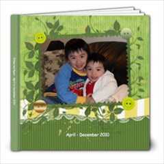 Ethan & Ryan Apr - Dec 2010 - 8x8 Photo Book (30 pages)