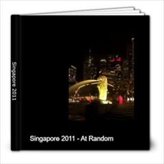 Singapore 2011 - 8x8 Photo Book (20 pages)