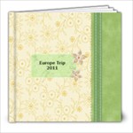 Europe 2011 - 8x8 Photo Book (20 pages)