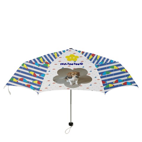 Folding Umbrella 