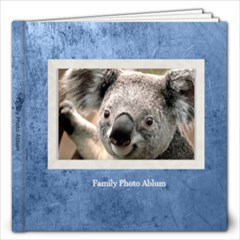 family book 1 - 12x12 Photo Book (20 pages) family book 1 - 12x12 Photo Book (20 pages)