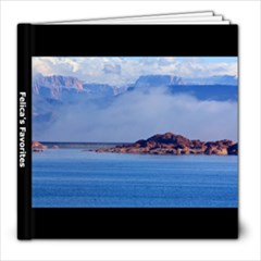Felica s Favorites - 8x8 Photo Book (20 pages)