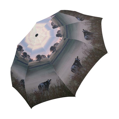 Folding Umbrella 