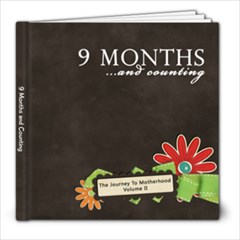 9 Months and Counting - 8x8 Photo Book (20 pages)