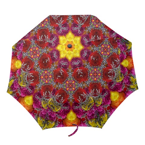 Folding Umbrella 