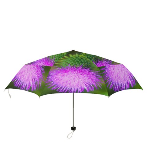 Folding Umbrella 