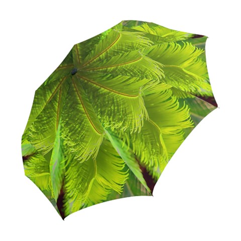 Folding Umbrella 