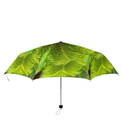 Folding Umbrella 