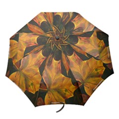 autumn leaves umbrella - Folding Umbrella