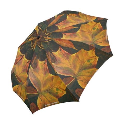 Folding Umbrella 