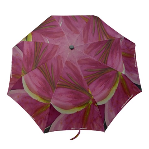 Folding Umbrella 