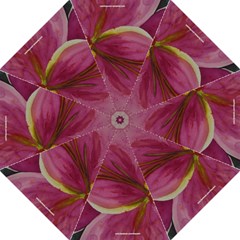 pink lily umbrella - Folding Umbrella