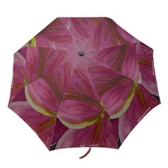 pink lily umbrella - Folding Umbrella