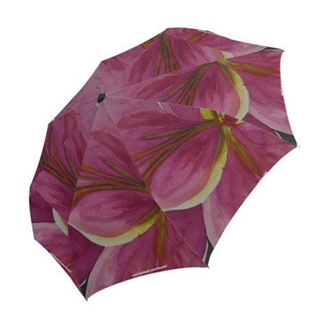 Folding Umbrella 