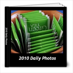 Project 365 2010 - 8x8 Photo Book (60 pages)