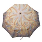 nautilus umbrella - Folding Umbrella