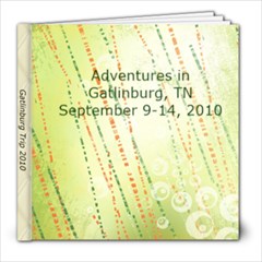Gatlinburg Trip 2010 - 8x8 Photo Book (20 pages)