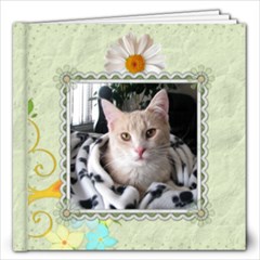 Pretty Any Occasion 12x12 60 Page Photo Book - 12x12 Photo Book (60 pages)