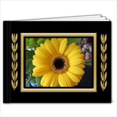 Black And Gold 11x8 5 Book (20 Pages)