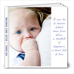 bray3-6 - 8x8 Photo Book (20 pages)