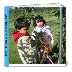 Pingles farm - 8x8 Photo Book (20 pages)