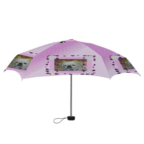 Mini Folding Umbrella 