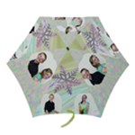 Winter Umbrella - Mini Folding Umbrella
