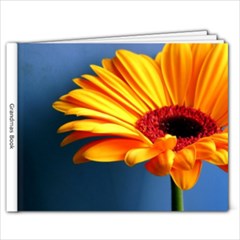 grandmas book - 9x7 Photo Book (20 pages)
